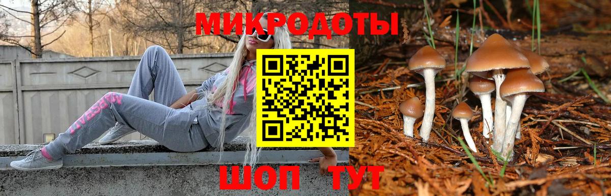 Псилоцибиновые грибы мицелий  Вход с VPN  Балашов 