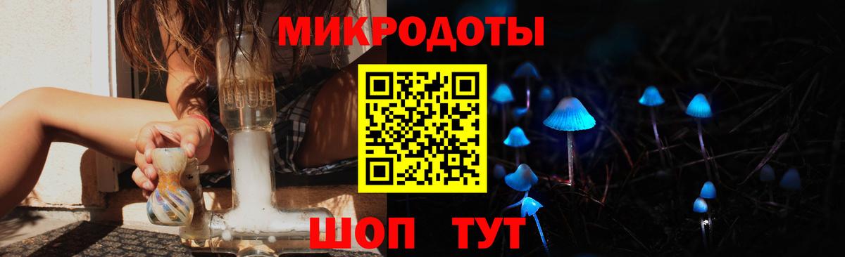 Галлюциногенные грибы Psilocybine cubensis Балашов